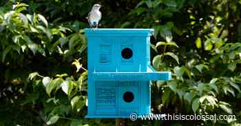 For the Birds: 33 Artists and Designers Reimagine Avian Architecture at the Brooklyn Botanic Garden - Colossal