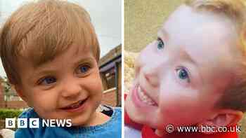 Pace of council change after Star and Arthur deaths 'depressing'