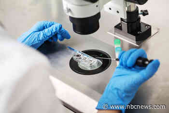 State abortion bans trigger confusion over what happens to frozen embryos