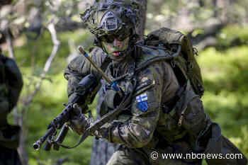 NATO expansion is 'direct result' of Putin's 'colossal strategic mistake,' experts say