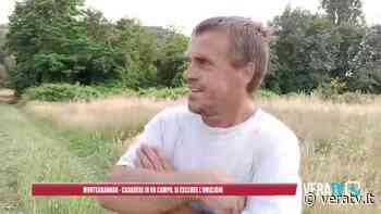 Montegranaro – Cadavere di un uomo in un campo, escluso l'omicidio - VeraTV News