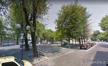 I Medici per l'Ambiente di Vercelli al Comune: "Quando verranno sostituiti gli alberi abbattuti in città?" - tgvercelli.it