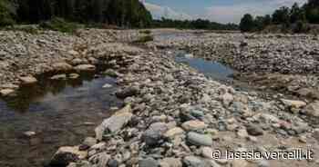 Emergenza siccità: confronto con i prefetti di Vercelli e Biella - La Sesia | Cronaca