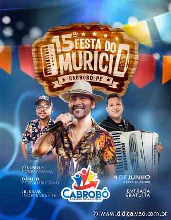 Próximo sábado (04) 15ª edição da tradicional Festa do Murici! - didigalvao.com.br
