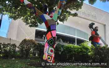 Cuernavaca viste sus árboles con graffiti textil - El Sol de Cuernavaca