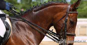 Leontine Bruin op podium in Vragender | Regiosport - De Stentor