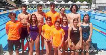 Union Quimper natation : 18 nageurs au championnat de Bretagne à Saint-Brieuc - Le Télégramme