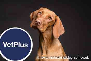 Lytham firm VetPlus set to get £1.4m boost after government change trade law