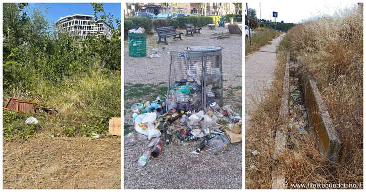 Roma: la Capitale tra rifiuti, cinghiali e degrado delle aree verdi. “Senza noi volontari tutto sarebbe completamente abbandonato”
