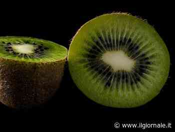 Kiwi, proprietà e benefici di questi frutti sorprendenti