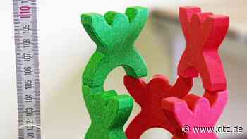 Die Sieger stapelten in Jena 1,80 Meter hoch