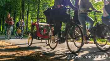 Ausflug Henstedt-Ulzburg: Radtour für Menschen mit Behinderung - Hamburger Abendblatt