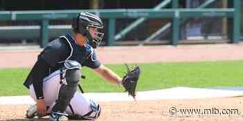 Tigers prospect Dillon Dingler improving behind plate - MLB.com