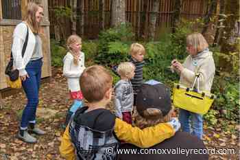 Rural community grants put funds back into Comox Valley Regional District - Comox Valley Record