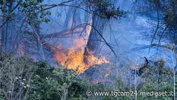 Roma, diversi incendi alla periferia della città - TGCOM
