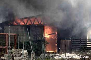 Nove roghi a Roma: la città coperta da fumo e fuliggine - Agenzia Nova