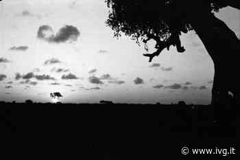 Ad Albenga la mostra "VisiONovaresio, fotografie 1954 -1958" - Il Vostro Giornale - IVG.it