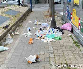 Albenga, Tomatis (FdI): "Spazzatura dentro e fuori dai contenitori, inizia l’estate e il decoro va tutelato" - SavonaNews.it