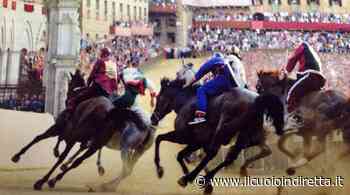 Due cavalli da Fucecchio alle prove per il Palio di Siena - IlCuoioInDiretta - IlCuoioInDiretta