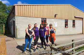 Volunteers muck out at disabled horse riding school - Wakefield Express