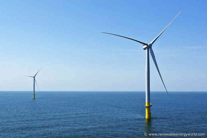 Offshore wind developers reach agreement with environmentalists on protecting whales
