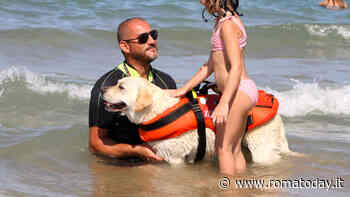 Cani bagnini, al via la stagione: dove si trovano le postazioni nel Lazio