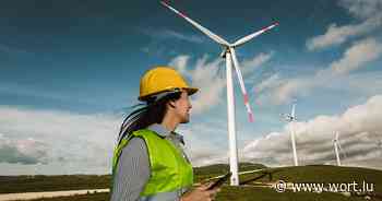 Wie Banken die Zweifel an grünen Anlagen ausräumen können - Luxemburger Wort