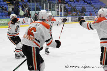 Nanaimo Clippers hockey team sold to new ownership group – Parksville Qualicum Beach News - Parksville-Qualicum Beach News