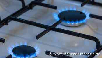 Erdgas: Verbrauch in Deutschland wegen hoher Preise deutlich gesunken