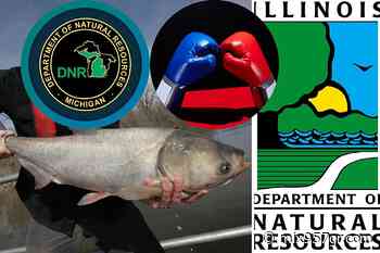 Michigan DNR Not Happy With Illinois DNR Rebranding of Asian Carp - Mix 95.7FM - Today's Variety