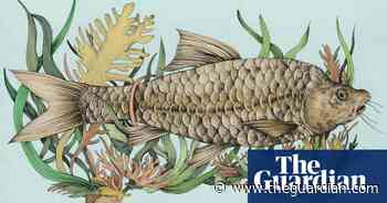 Animals we’ve lost: the 15 carp species that disappeared from a single lake - The Guardian