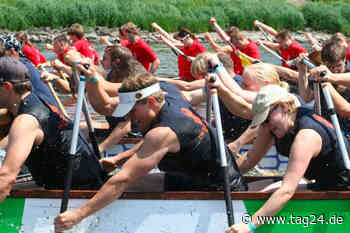 Drachenboot Festival in Dresden: Hier paddeln über 1.000 Sportler um die Pokale - TAG24