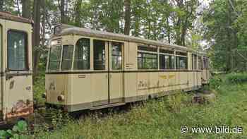 Dresden: Historische Straßenbahn aus Dresden rostet vor sin hin - BILD