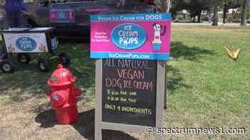 LA entrepreneur whips up vegan ice cream for dogs - Spectrum News 1