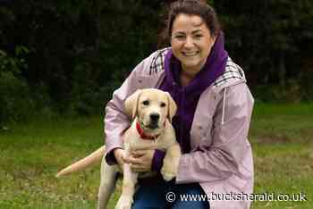 Puppy socialisers needed for Buckingham sniffer dog charity - Bucks Herald