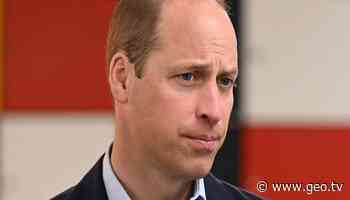 Prince William has Buckingham Palace act like his LinkedIn profile managers - Geo News