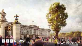 Platinum Jubilee: Tree sculpture to be erected outside Buckingham Palace - BBC