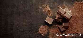 Erneut Schokoladenfabrik wegen Salmonellen gesperrt