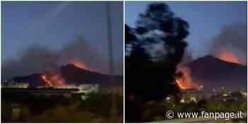 Scoppia un vasto incendio nei boschi di Bacoli: brucia gran parte della vegetazione - Fanpage.it