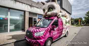 'De geknipte kat' vind je in Huis van de Bruggeling - Het Laatste Nieuws