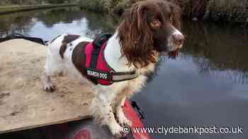River Clyde-based Underwater sniffer dog retires after eleven years in crucial role - Clydebank Post