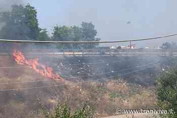 Incendio sulla complanare della 16bis, disagi allo svincolo Trani Sud - TraniViva