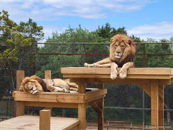 6 places to see exotic animals near Austin