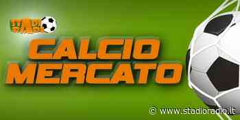 Cittanova ci siamo quasi, Locri altri nomi caldi, Castrovillari puntella la società. Riflessioni a Vibo e S. Luca - StadioRadio