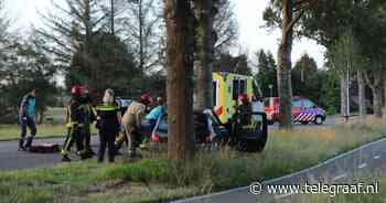 Vrouw (41) overleden na botsing met auto tegen boom - Telegraaf.nl