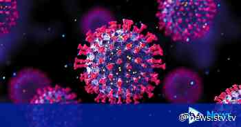 Coronavirus deaths in Scotland rise to 51 in weekly update - STV News