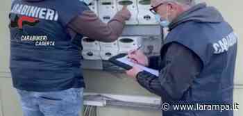 Furti corrente, blitz Carabinieri ad Aversa e Teverola - La Rampa