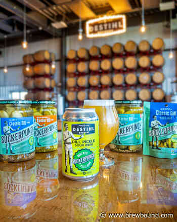 DESTIHL Brewing and SuckerPunch Gourmet Team Up to Launch Dill Pickle Sour Beer - Brewbound.com