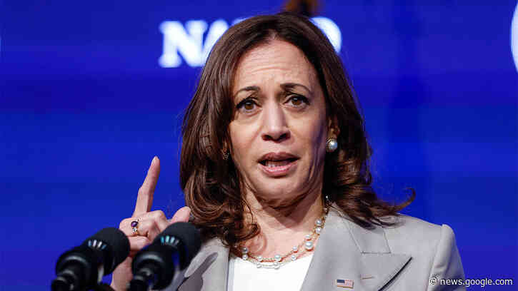 Kamala Harris breaks silence on 53 Texas migrant deaths, says Abbott 'went straight to politics' - Fox News