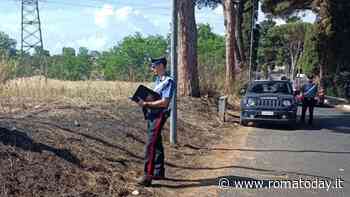 I piromani di Palidoro si emulano, altri 4 incendi innescati e domati da proprietari dei campi